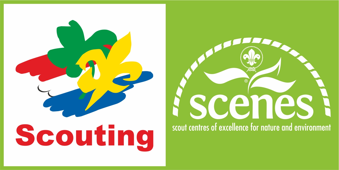 Logo SCENES NL