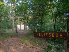 peliesbos